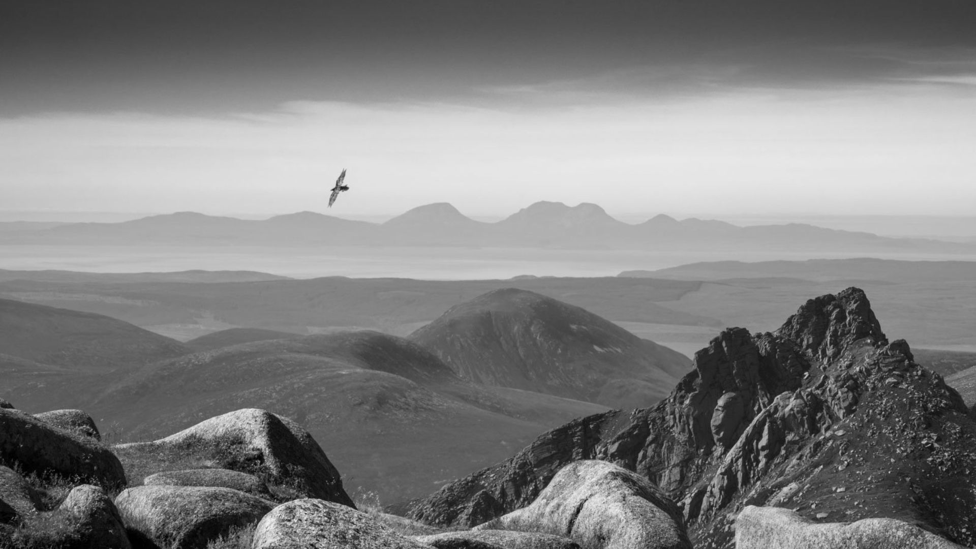 Black & White winner: 'Raven Above Arran' by Robin Dodd