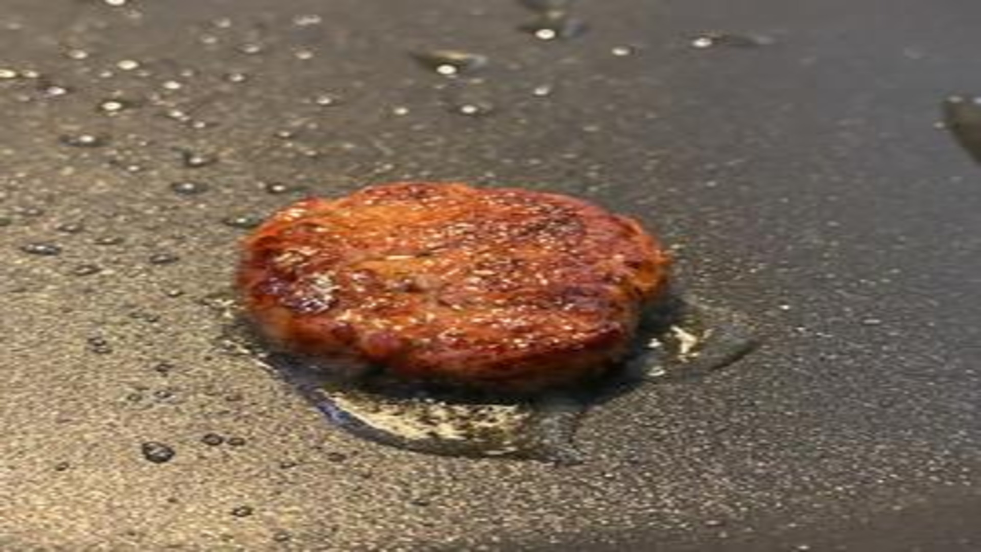 Genetically Modifying Fungi