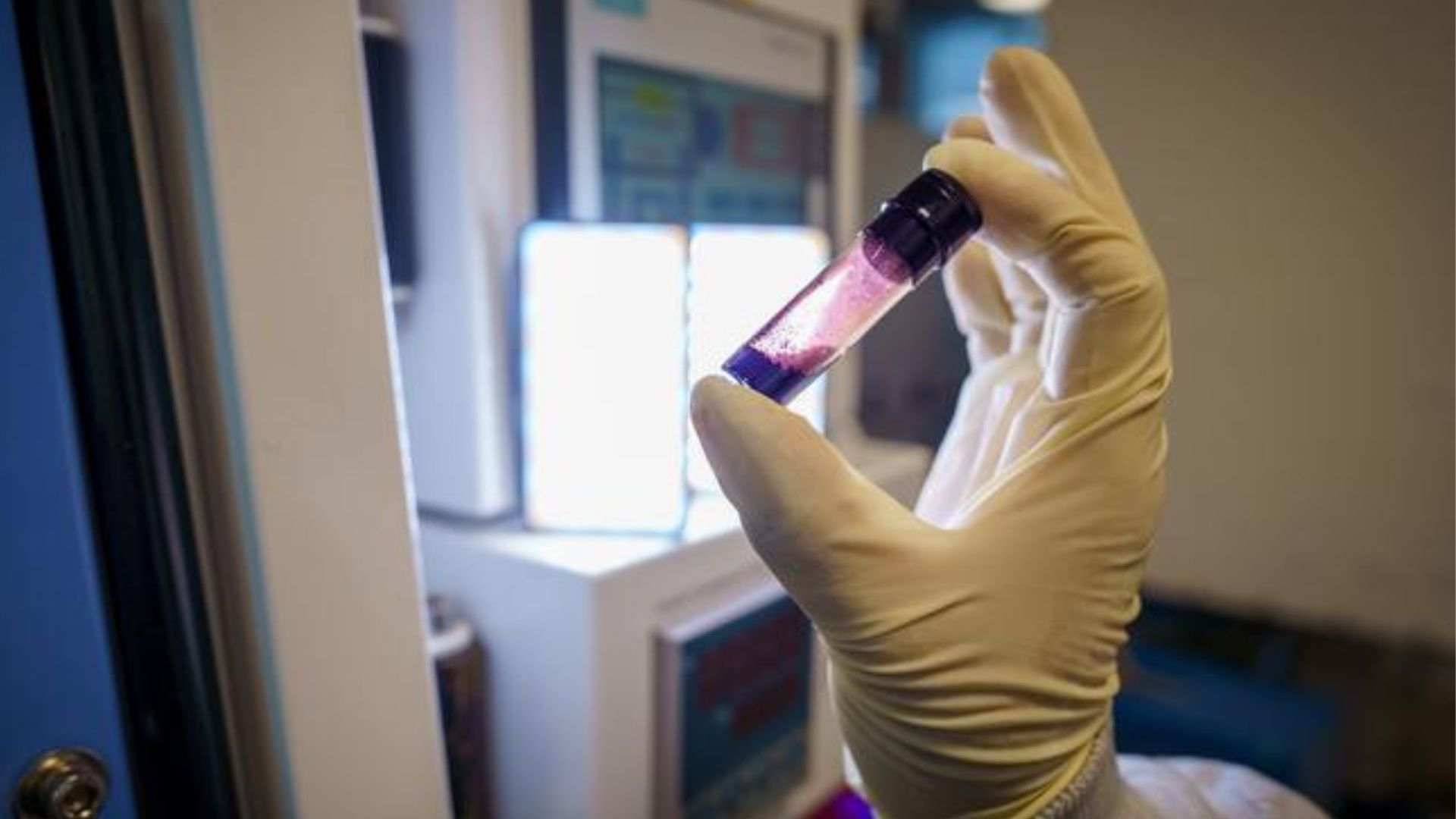 Healable Cathode To Advance Solid State Lithium Sulfur Batteries