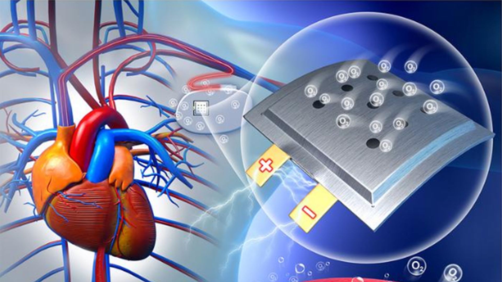 chinese-researchers-engineer-implantable-oxygen-run-battery