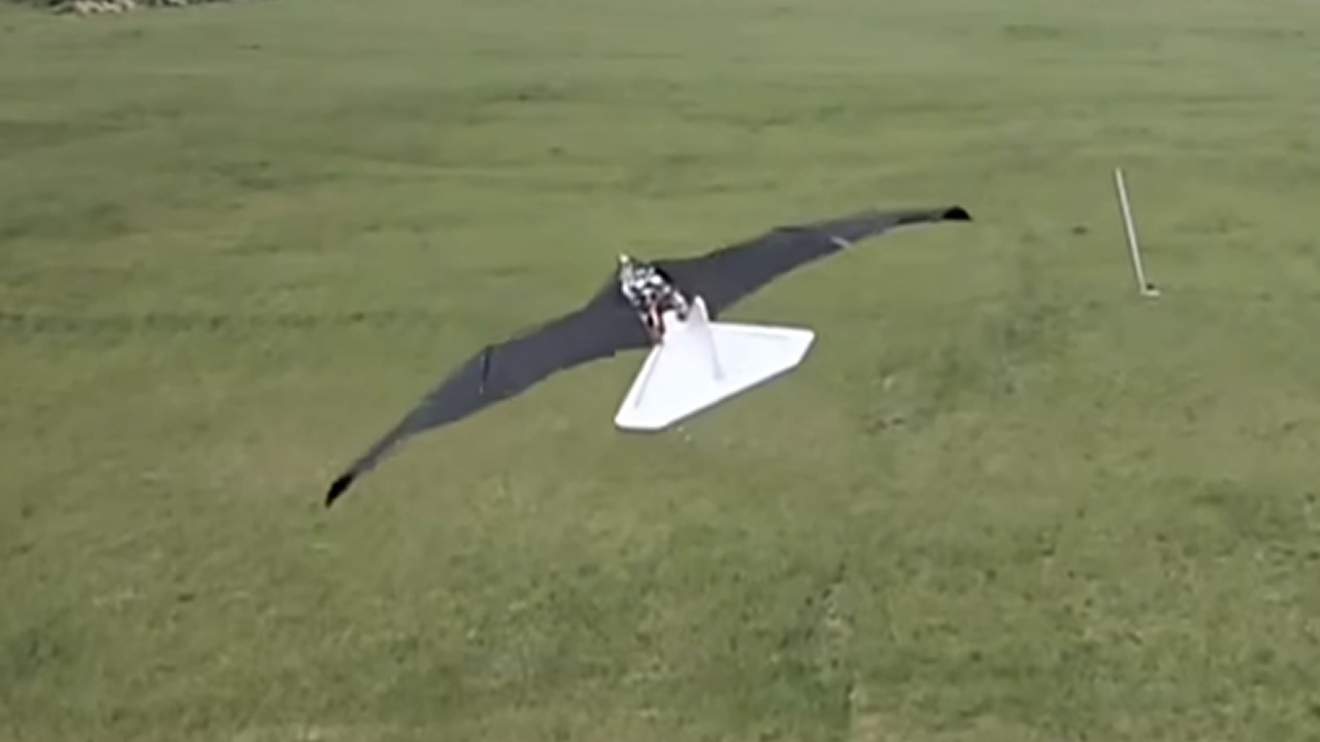 Ornithopter drone clearance