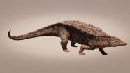215 million year old Armored Crocodile Cousin Spotted In Texas 