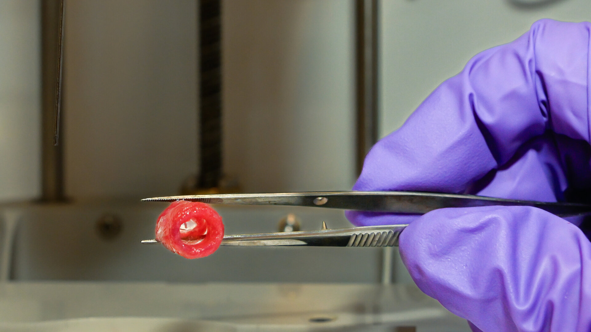 3D-bioprinted blood vessel pillars