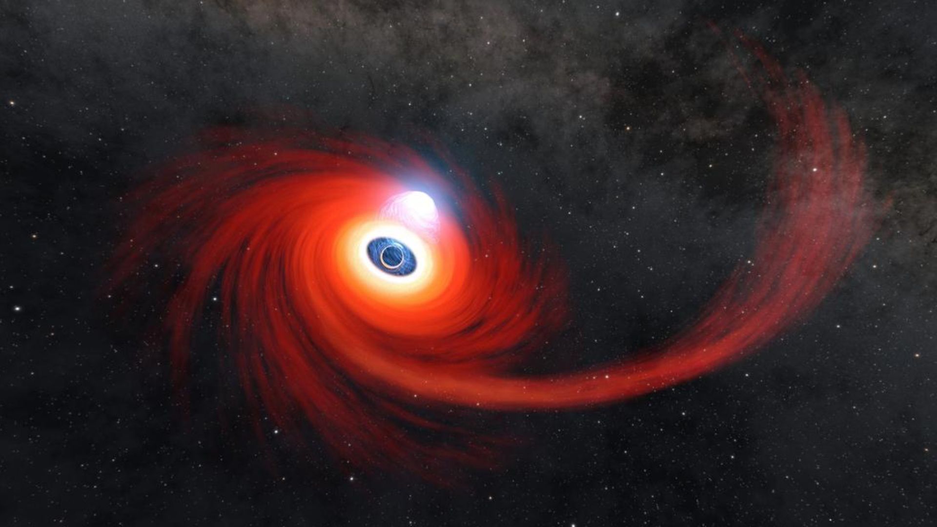 First-ever black hole spin measured using wobbling star debris