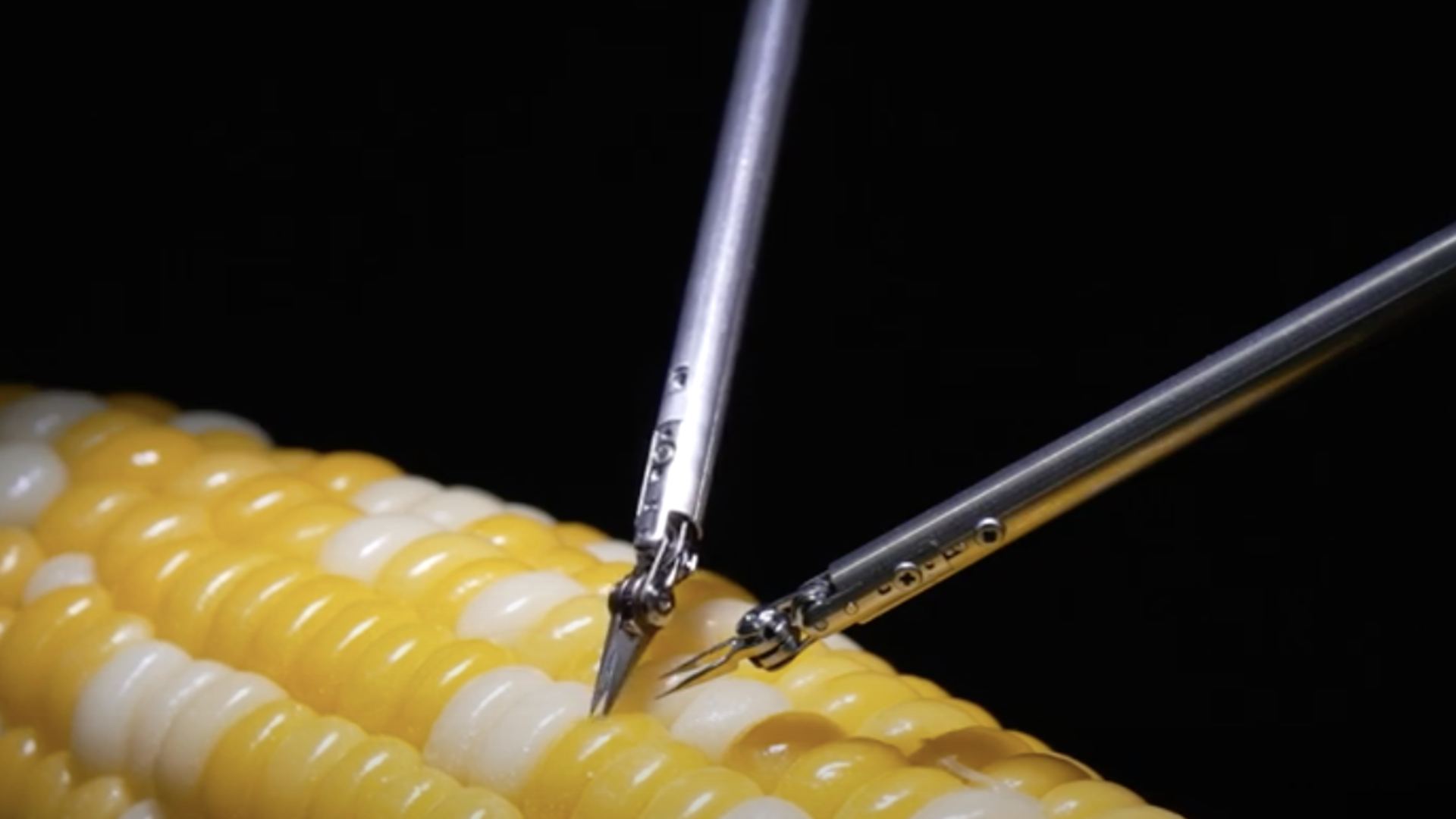 In photos: Sony's robot masters microsurgery on corn kernel