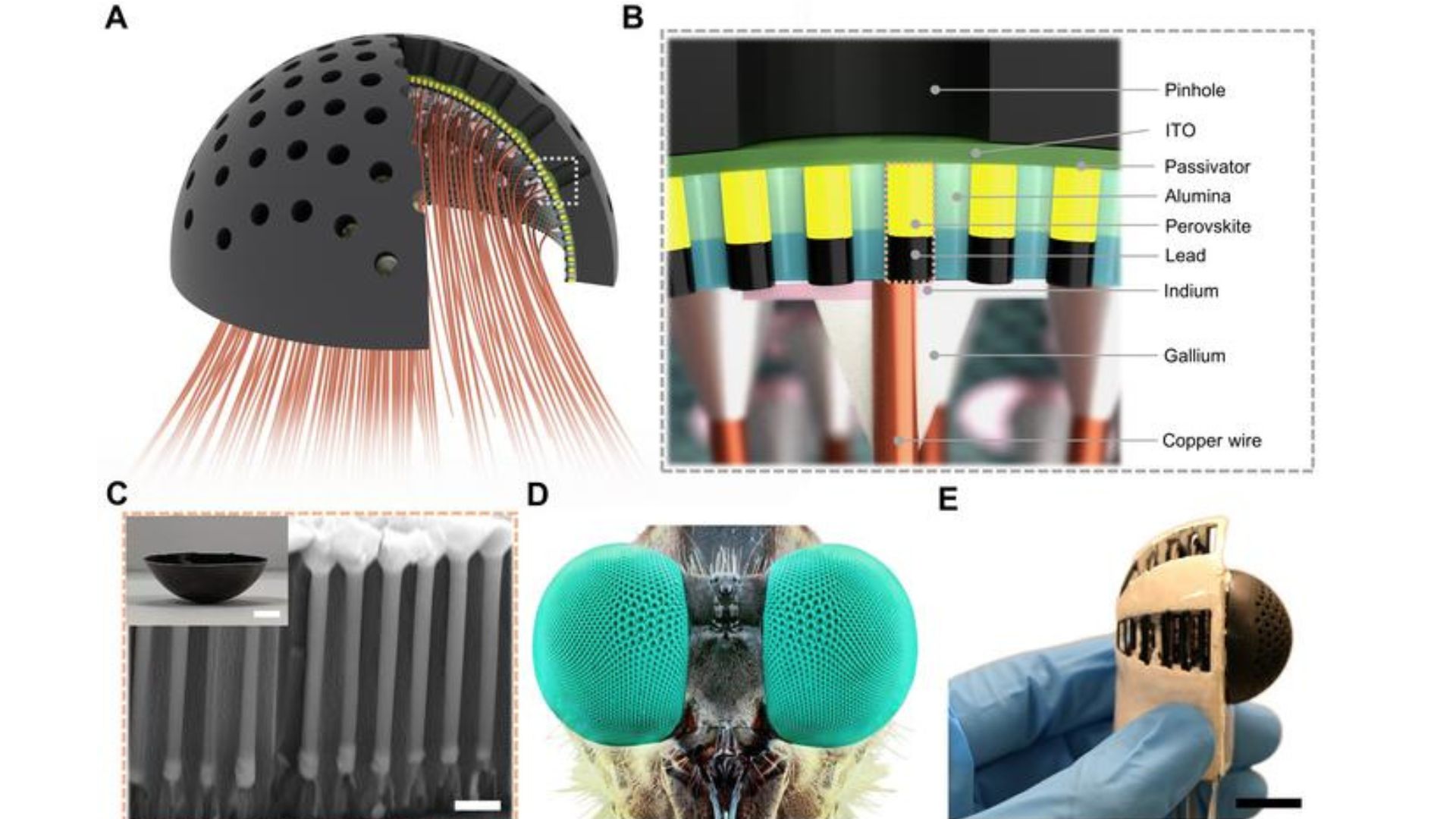 Schematic illustration and images of the PHCE camera and integrated components.