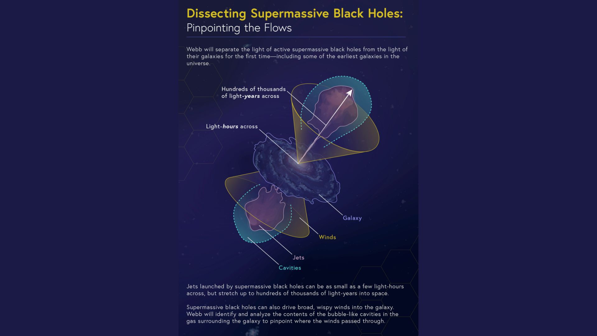 An infographic showing the various flows from a SMBH and its host galaxy. 