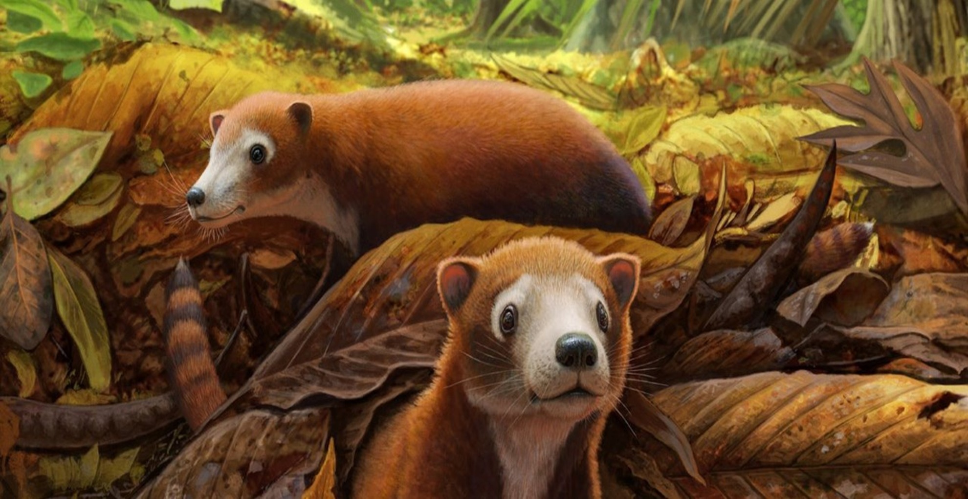 Ancestor of cows, deer: 65-mn-year-old mammal fossil discovered