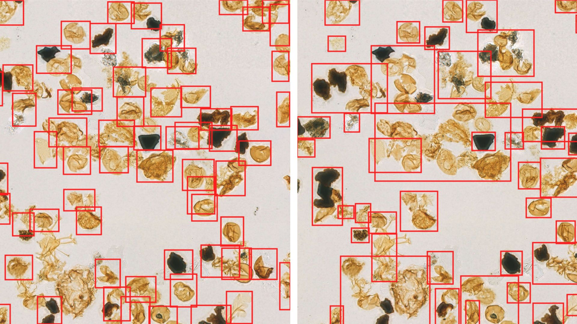 El misterio de los microfósiles por valor de 3 mil millones se puede resolver utilizando un nuevo modelo de aprendizaje profundo basado en IA