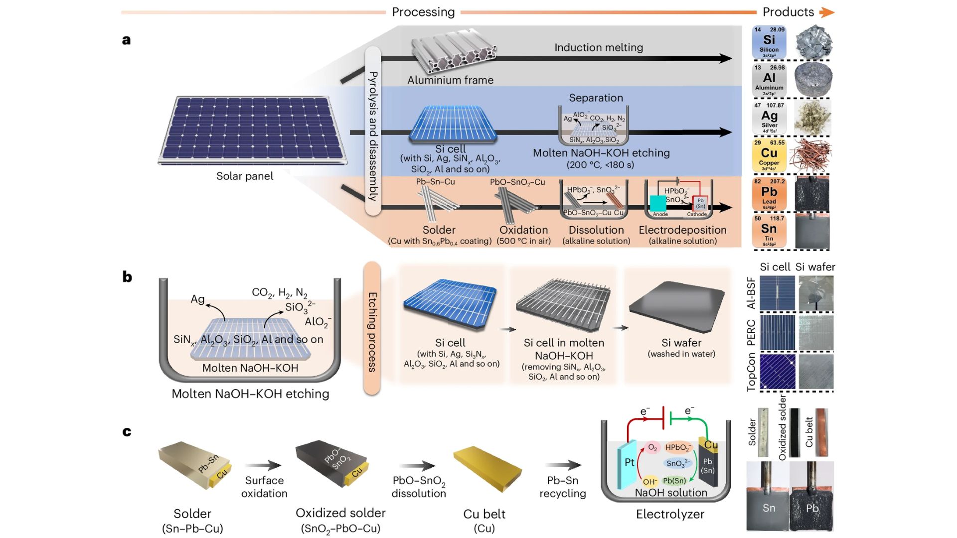 Schematic showing how different components are separated in the process.