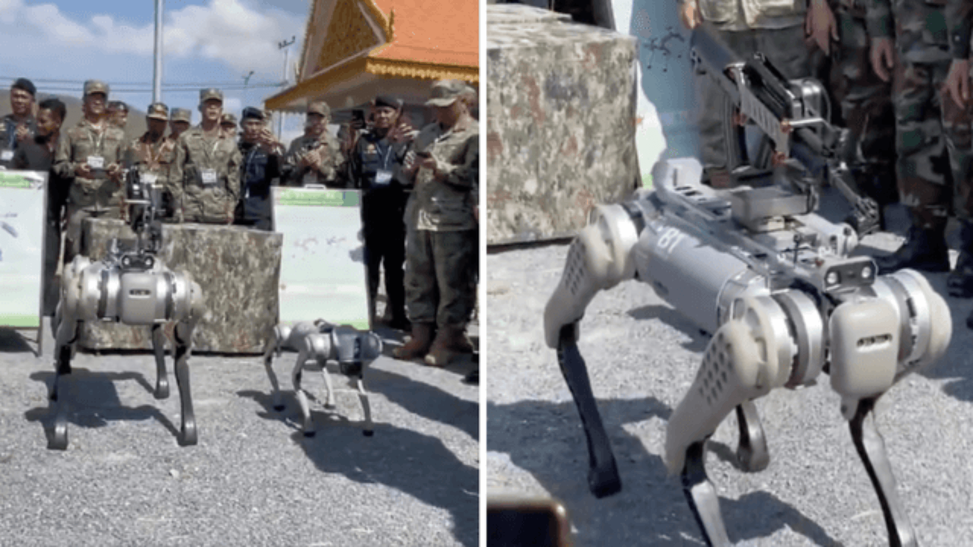 China’s gun-wielding war robot dogs worry US, Pentagon probe requested