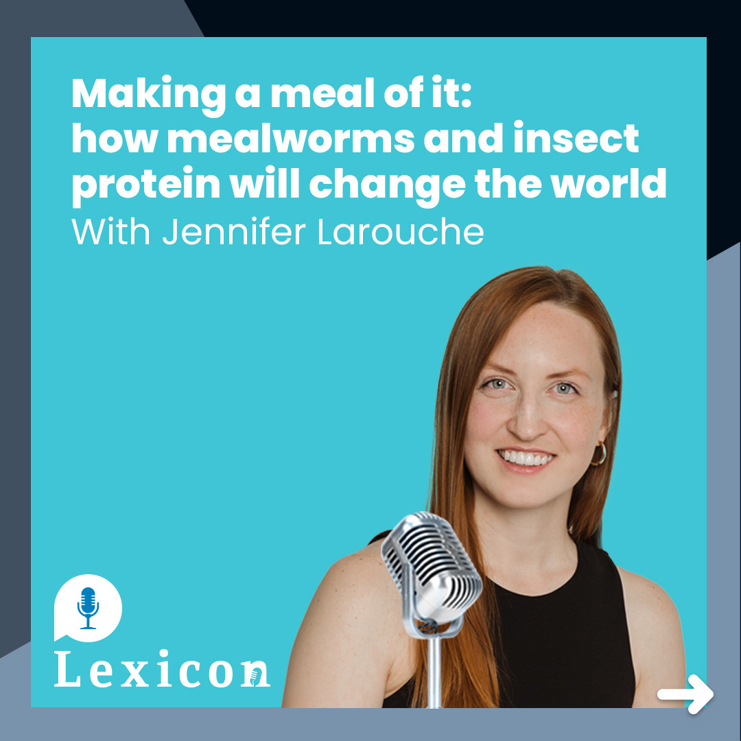 ep-51-making-a-meal-of-it-how-mealworms-and-insect-protein-will-change-the-world