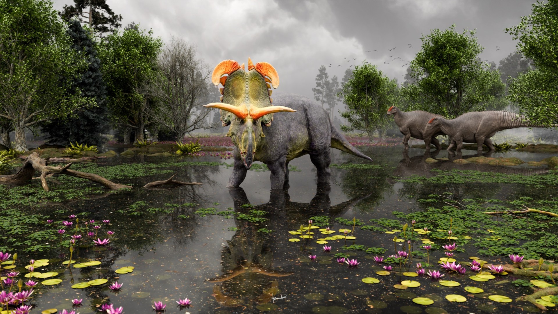 A reconstruction of Lokiceratops in the 78-million-year-old swamps of northern Montana, USA as two Probrachylophosaurus move past in the background. 