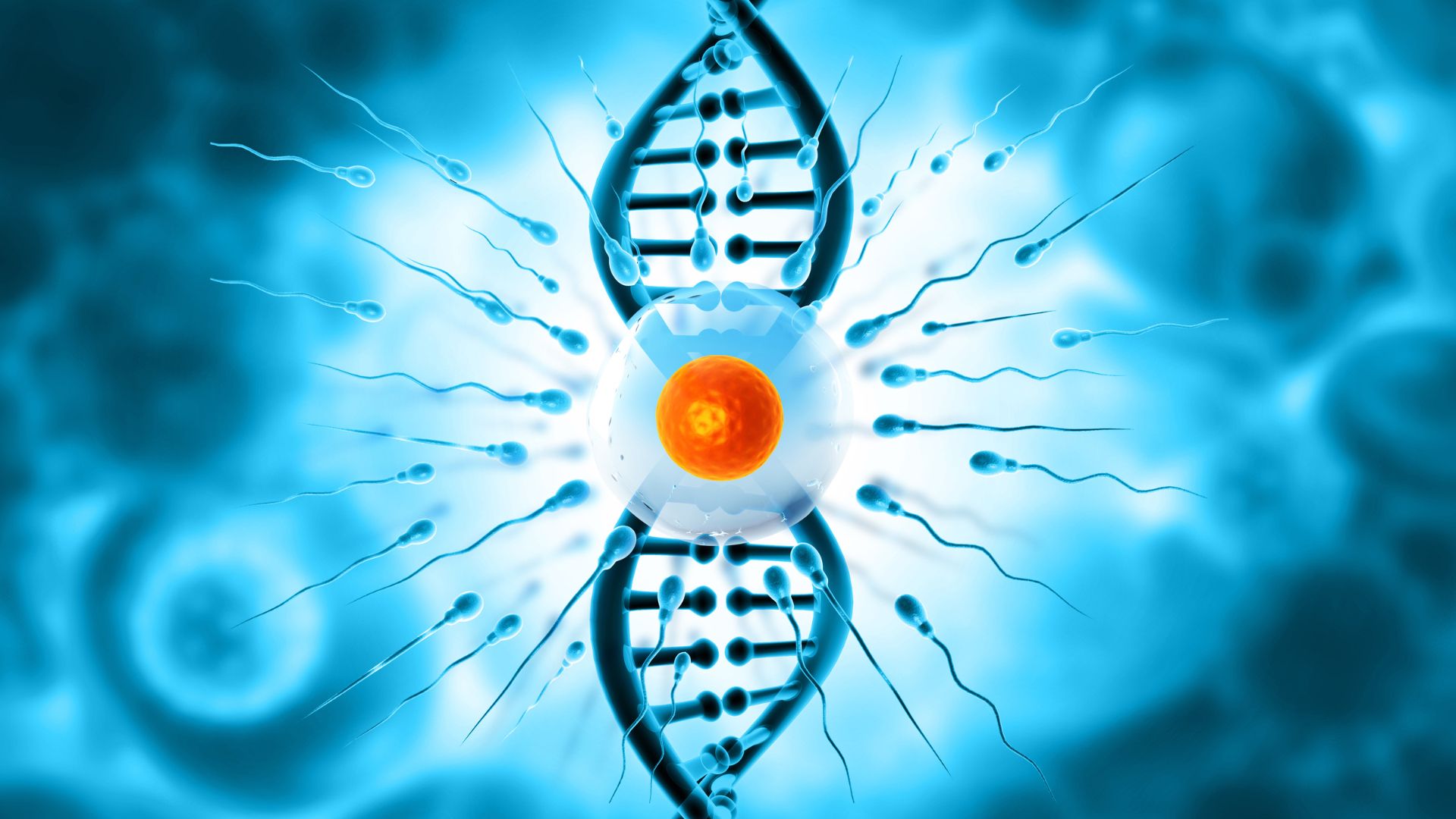 Imagen que representa un concepto de fertilidad y genética: Un óvulo de color naranja en el centro está rodeado por varios espermatozoides nadando hacia él. Al fondo, una doble hélice de ADN en tonos azules se entrelaza, simbolizando la relación entre la fertilidad y la genética.