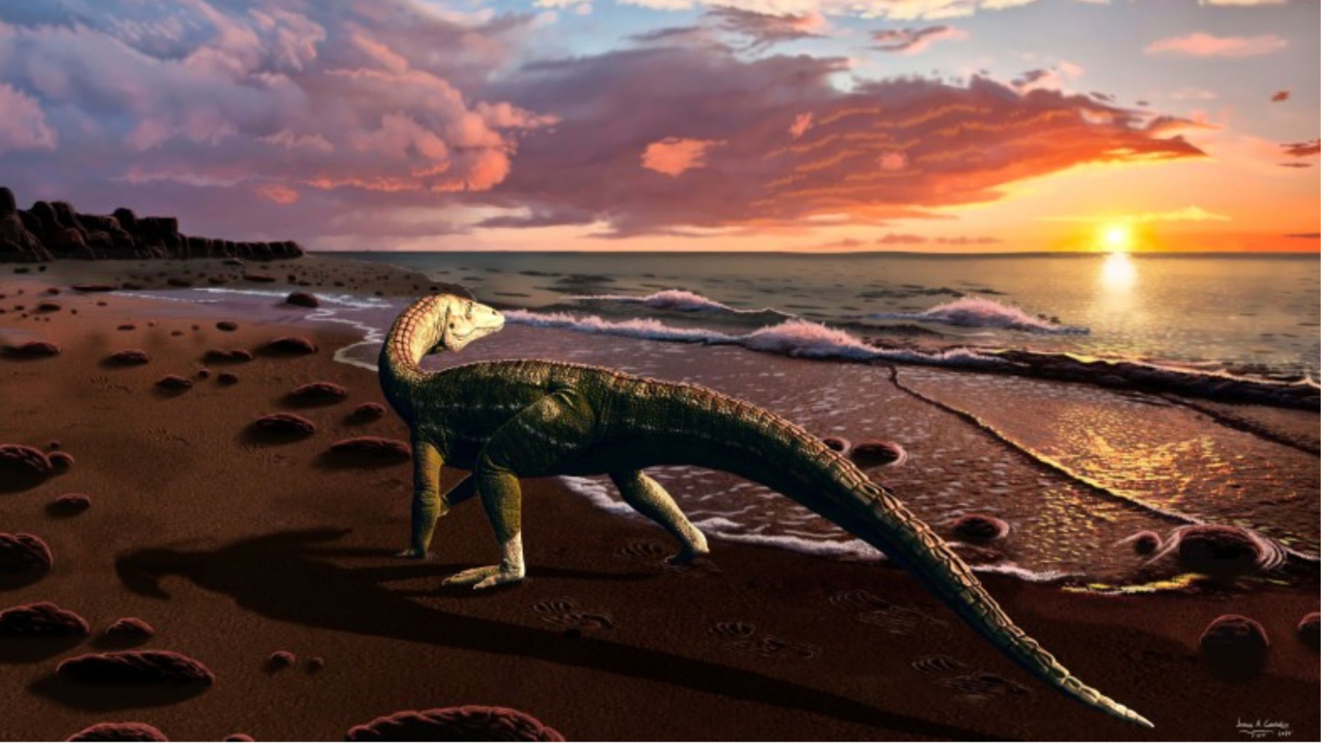 Descubren fósil de dinosaurio de 200 millones de años que alguna vez dominó los océanos
