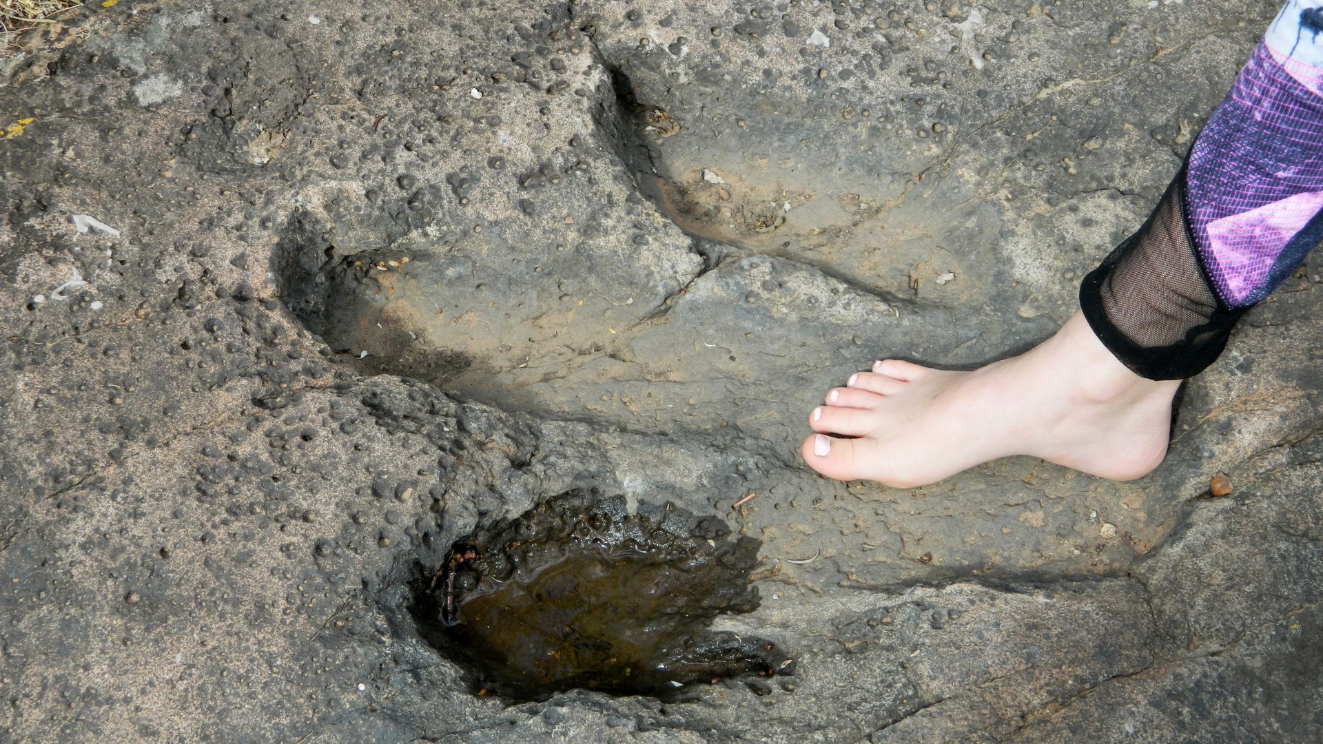 Little girl finds 200 million year old dinosaur footprints