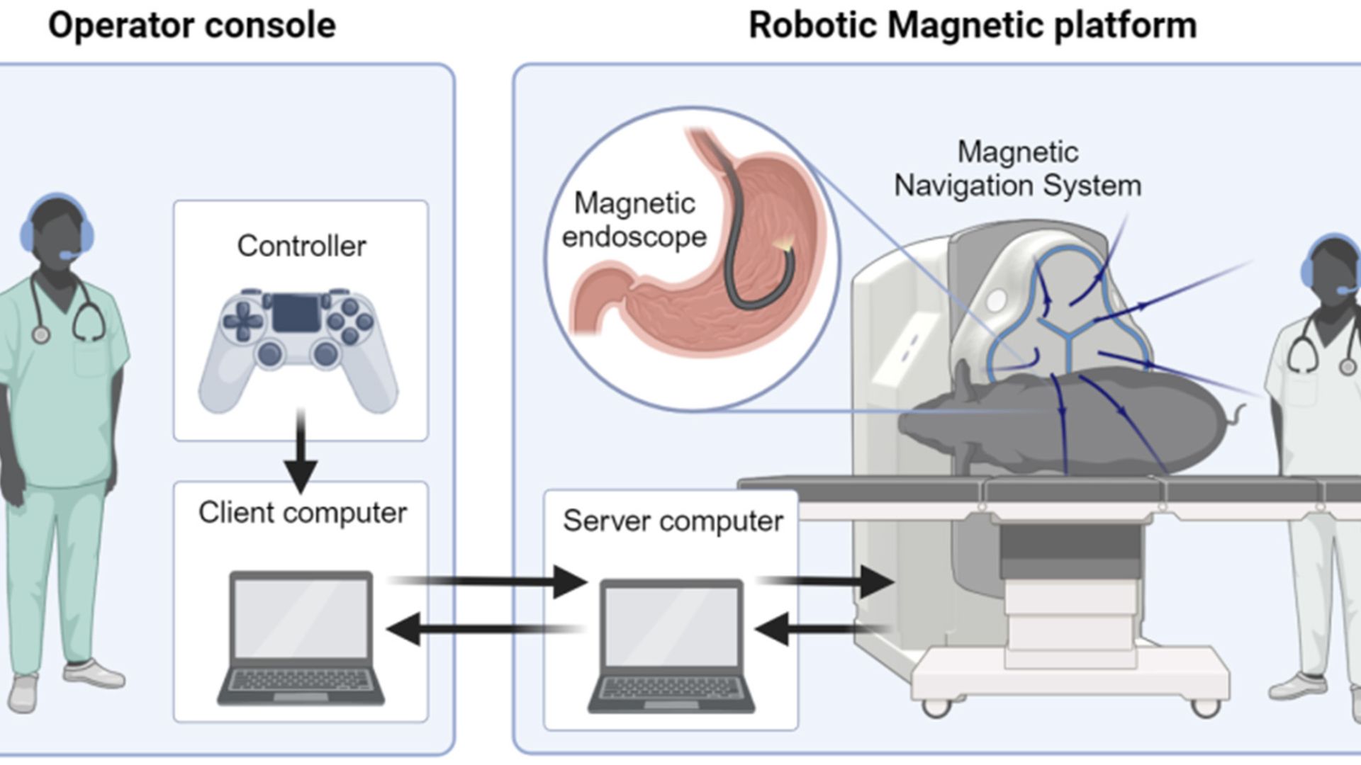 This illustration shows how a remote-controlled endoscopy works.