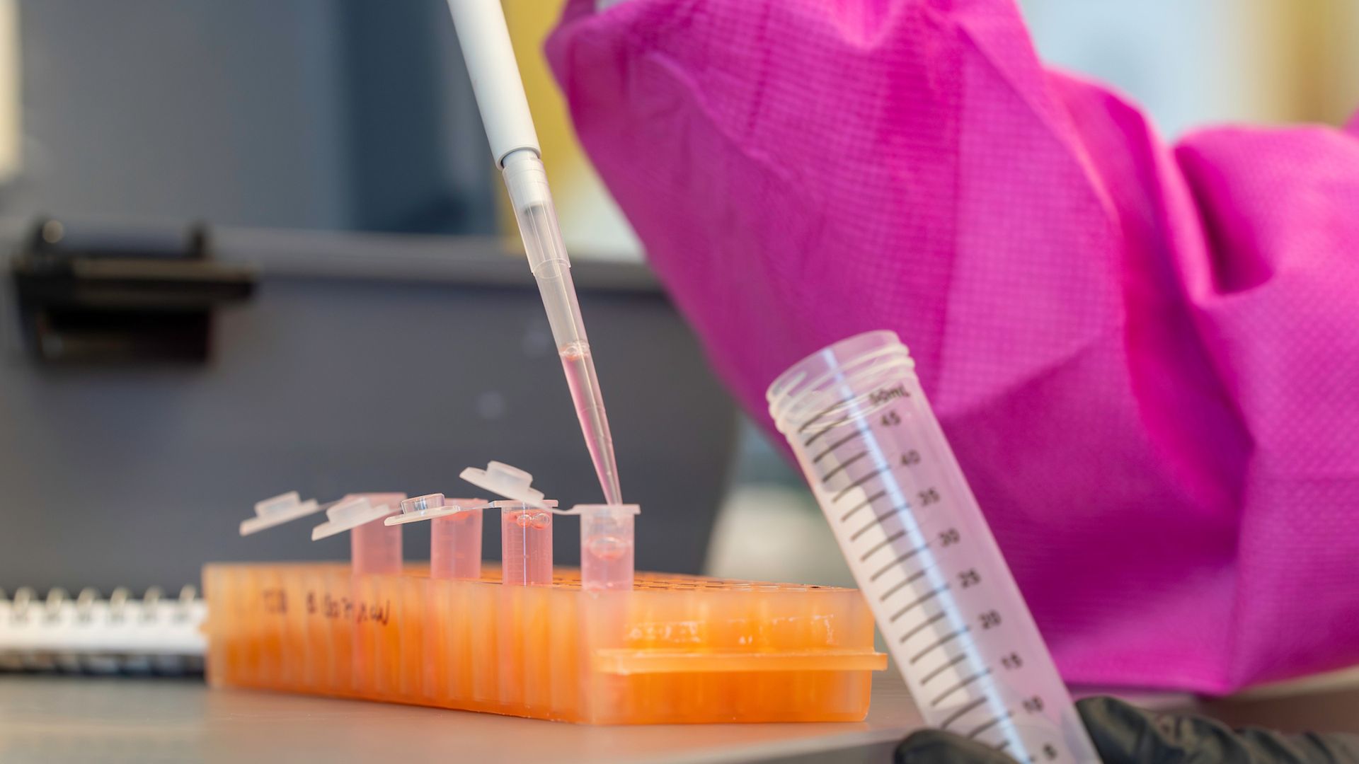 Un investigador manipula líquidos con una pipeta en un laboratorio, transfiriendo muestras a tubos de ensayo ubicados en un soporte naranja, mientras usa guantes y una bata de laboratorio rosa.