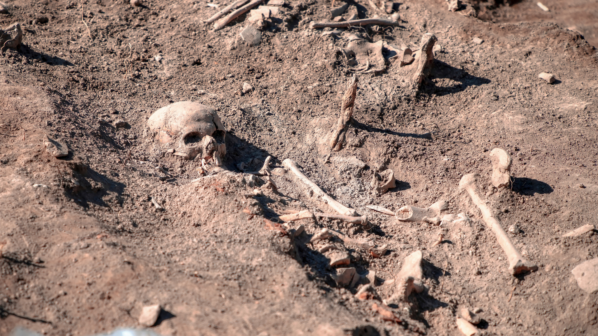 3,800-year-old human skeletons unearthed in Peru surprise researchers