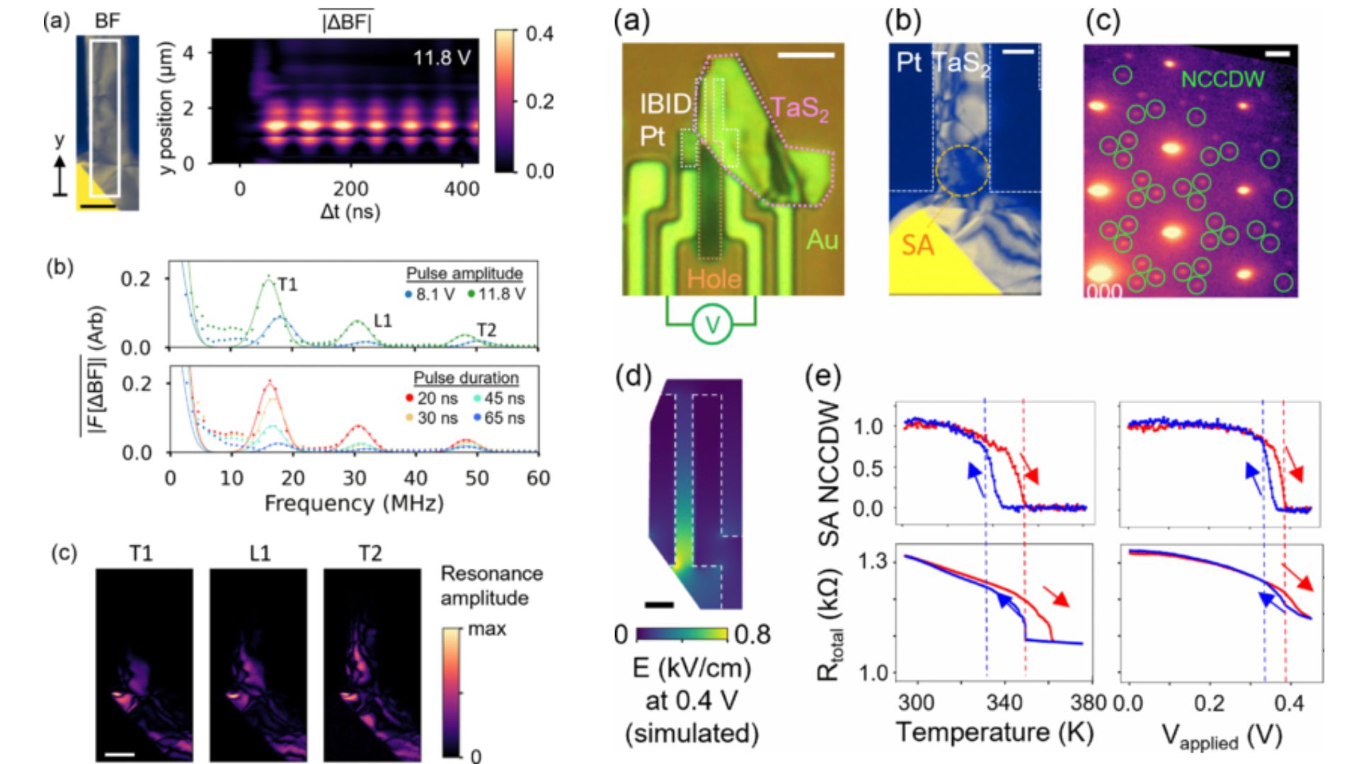 (a) Mesoscopic strain dynamics via nanosecond electron imaging and analysis. (b)TaS2 device images: TEM analysis, electric field, and switching. 