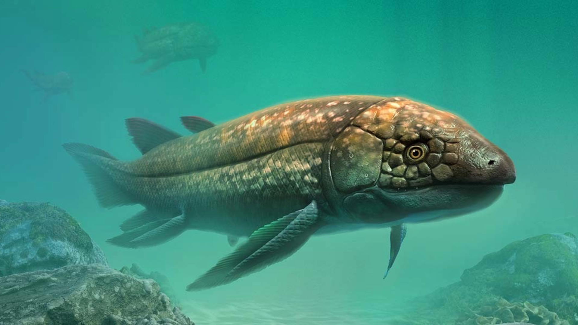 210 million-year-old lungfish existed when dinosaurs just emerged