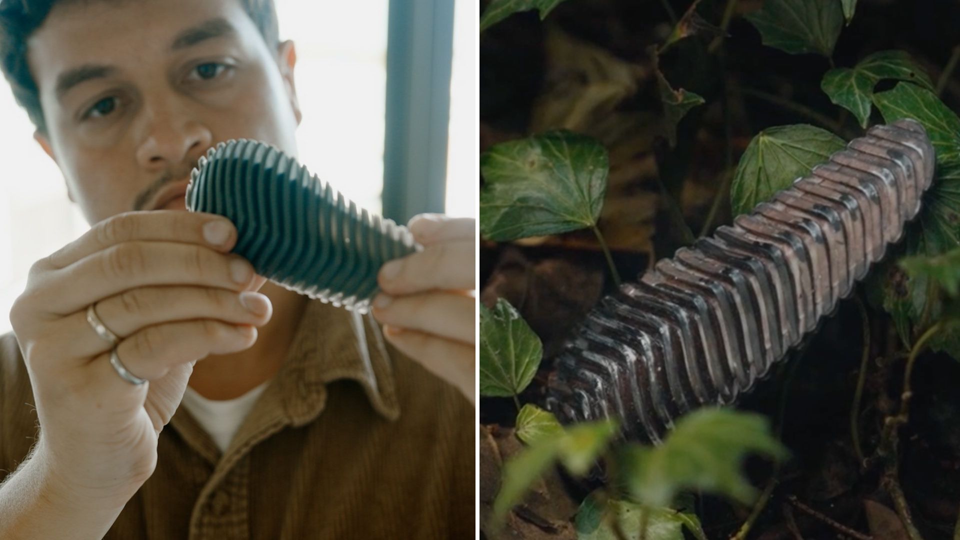 Una persona sosteniendo un dispositivo en forma de cápsula alargada y acanalada, fabricado con materiales naturales. A la derecha, el dispositivo aparece colocado en un entorno natural entre hojas verdes, ilustrando su capacidad para integrarse en la naturaleza. Este dispositivo parece ser un prototipo de Pyri, el detector de incendios forestales inspirado en piñas de pino, diseñado para activarse al detectar el calor de un incendio.