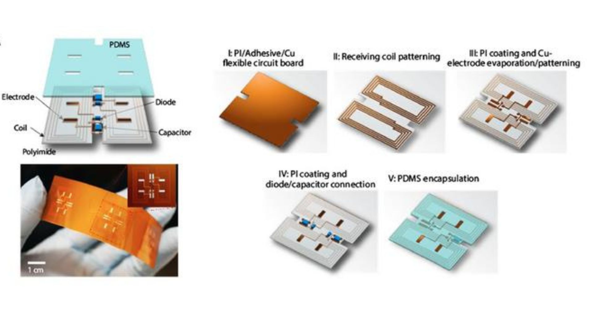 The fabrication process for the flexible PCB-based wireless bi-frequency bioelectronic device.