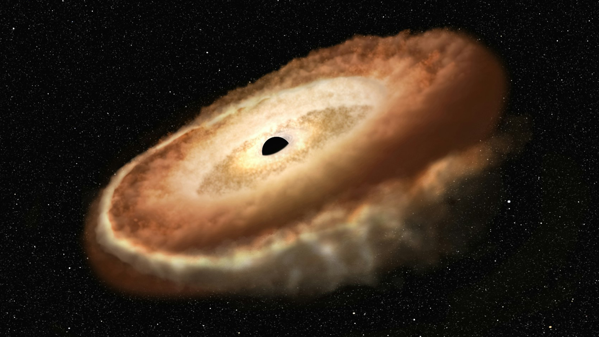 Einstein’s principle challenged: Black holes might be frozen stars