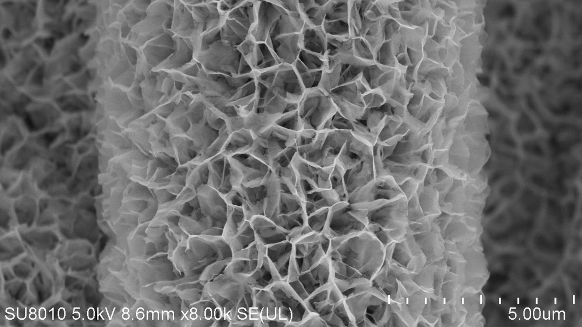 Porous Cathode