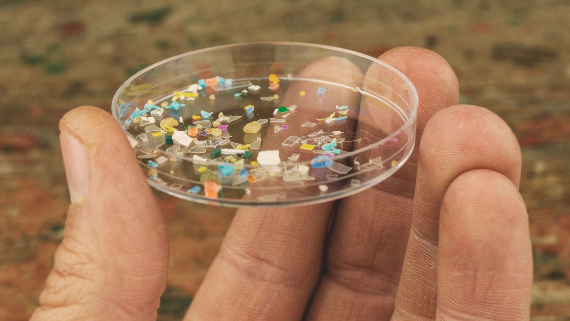 US scientists create sturdy, grafted PVC to finish microplastics risk