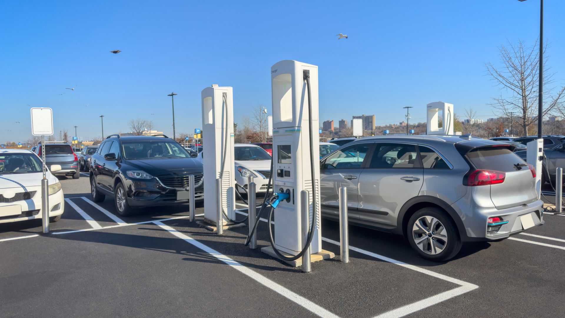 China EV hits new peak in Google Trends, surpasses 10 million units