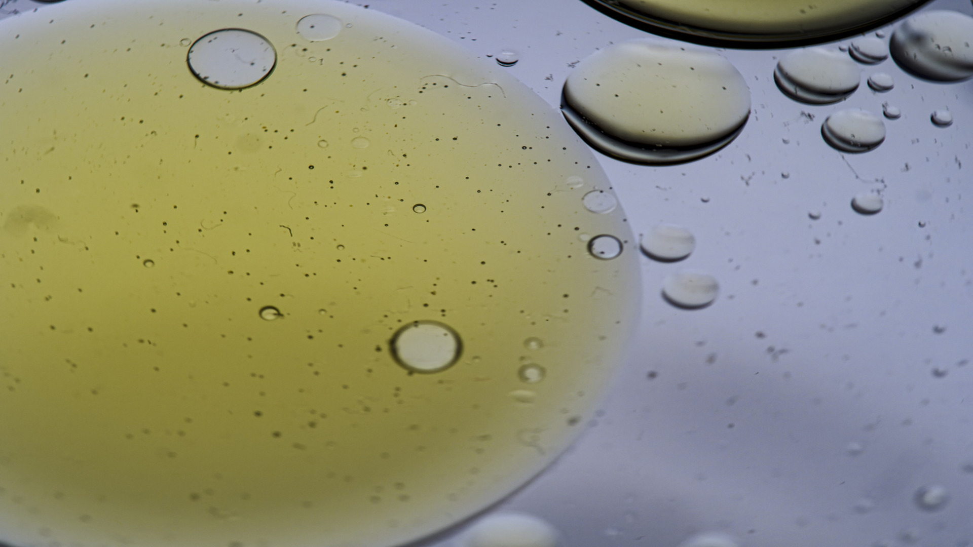 Gotitas de aceite flotando sobre agua, formando burbujas de diferentes tamaños con un fondo difuso y tonos verdes y grises.