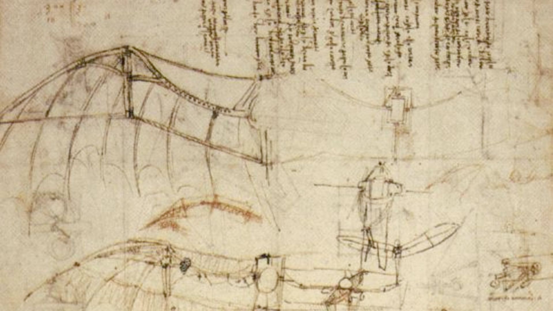 A schematic made by da Vinci closely mimics the wings of a bat.