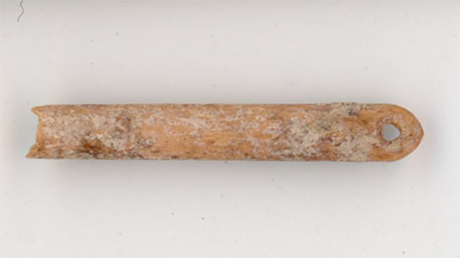 13,000-year-old prehistoric sewing needles found in Wyoming