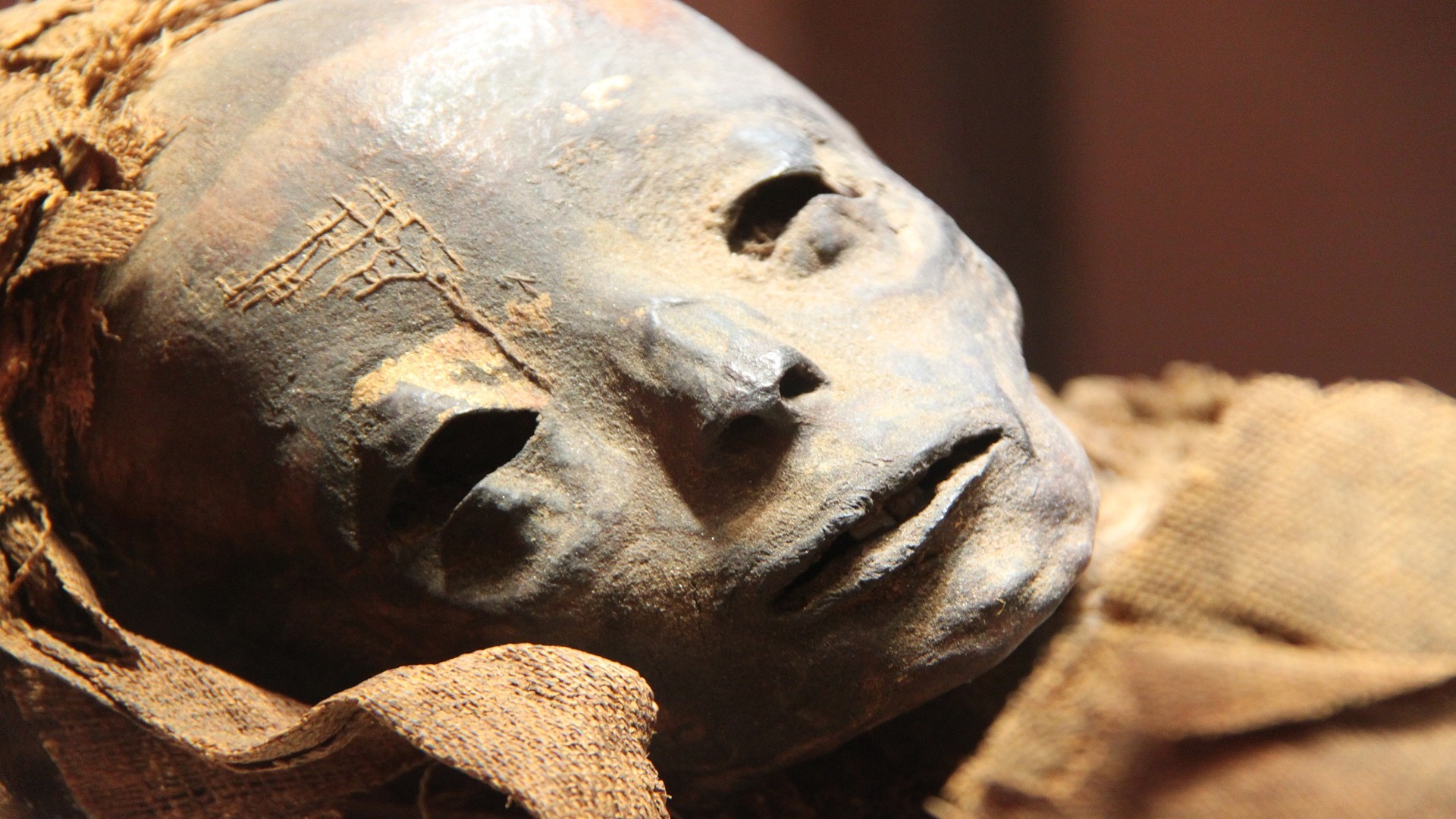 Egyptian Mummy’s Black Death DNA Shows Plague Hit Europe Later