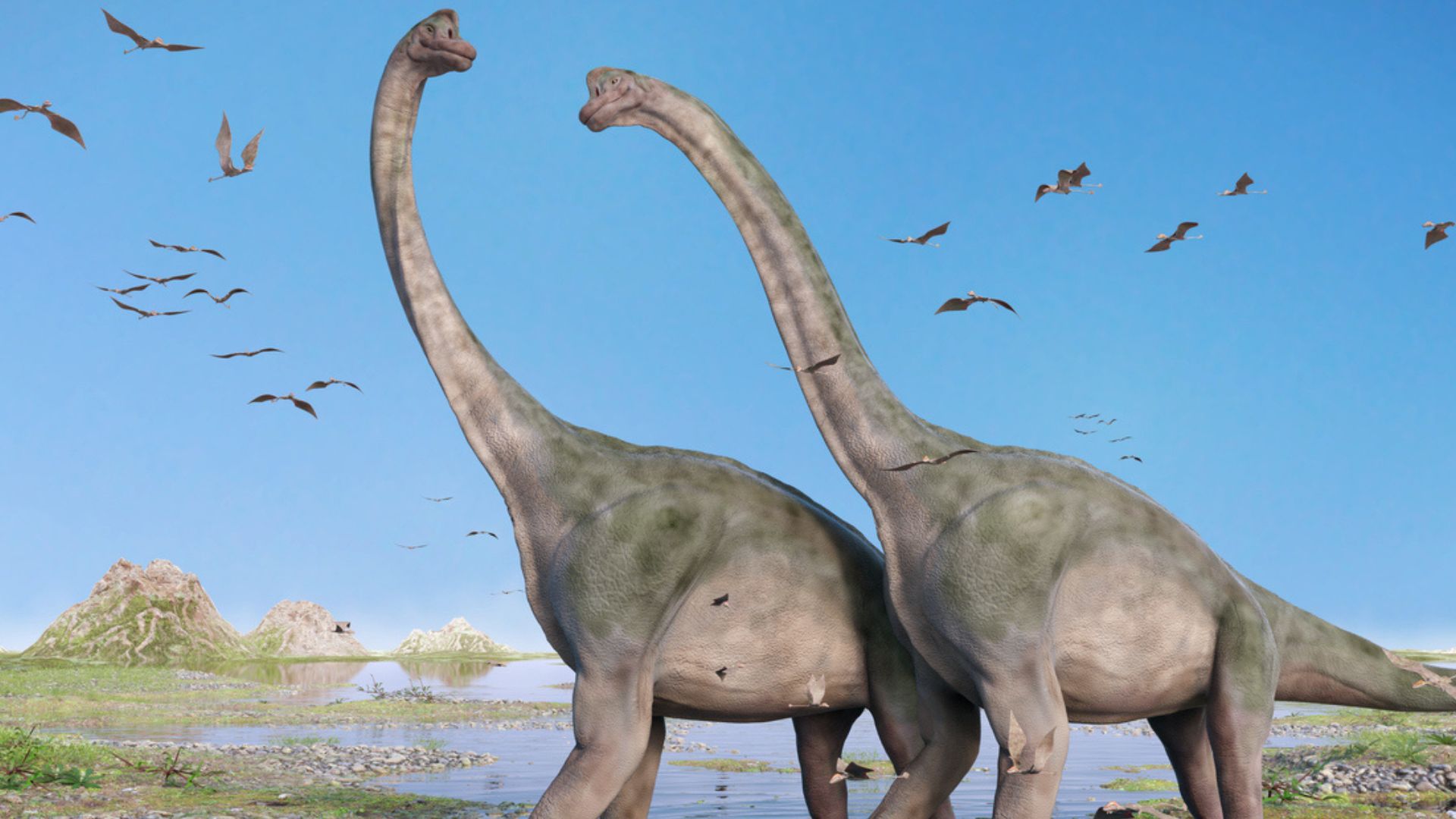 Romania s Sauropod Fossils Challenge dwarfism Theory Of Island Dinosaurs romania-s-sauropod-fossils-challenge-dwarfism-theory-of-island-dinosaurs