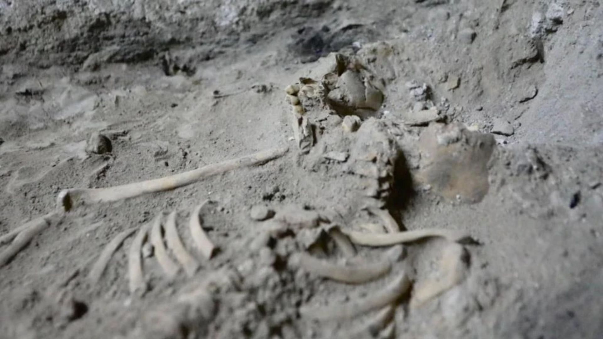 Oldest on record: 29,000-year-old human skeleton found in Thailand