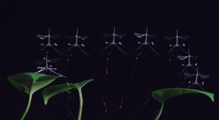 Insect Inspired Tech RoboBee: Flapping-wing robots land safely with insect-inspired tech