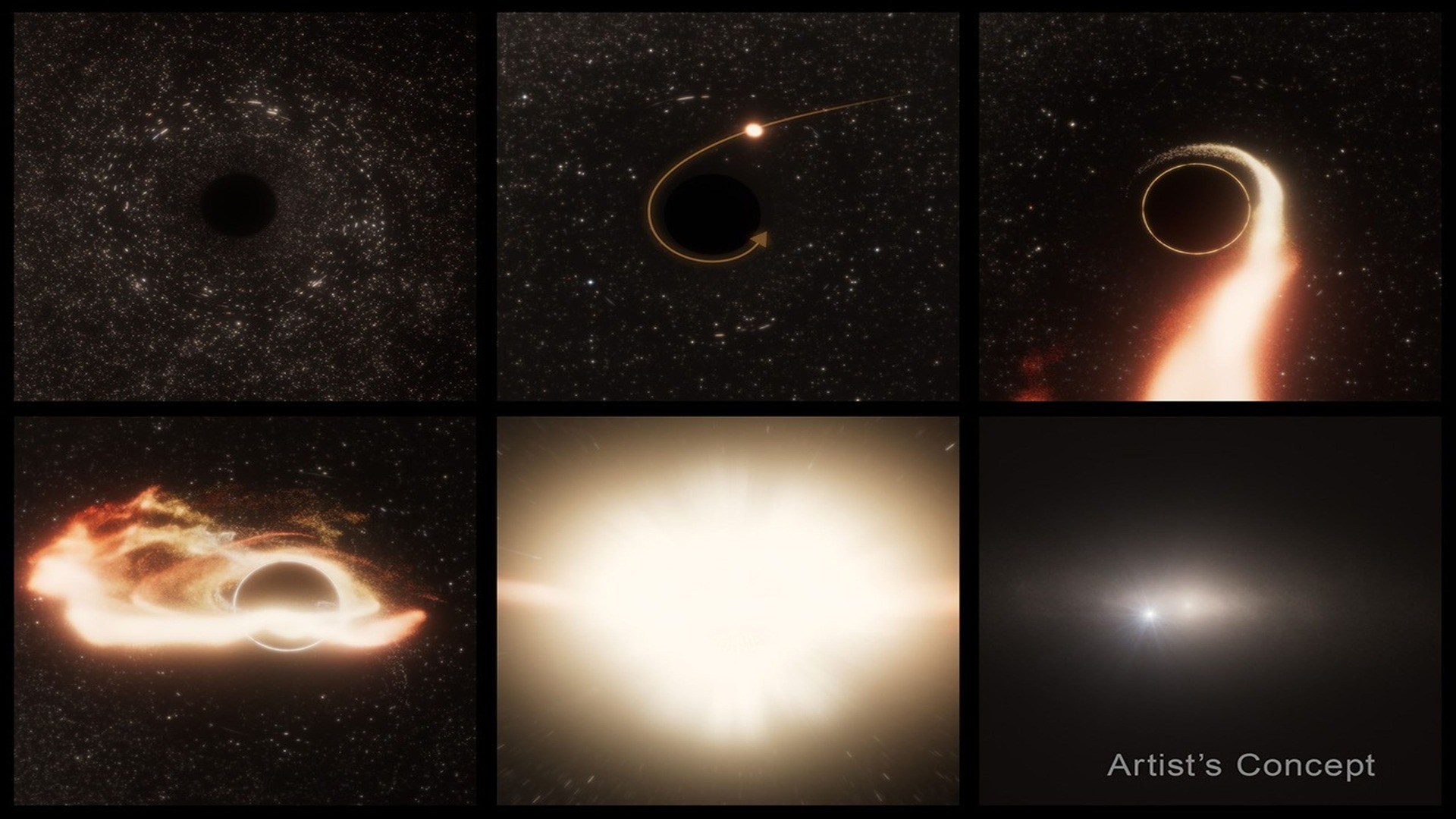 Twin black holes caught star-hunting 600 million light-years away