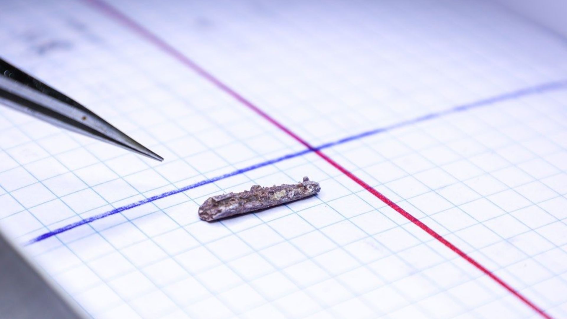 225 million-year-old fossil reveals ancient solution to quick, deadly hunting