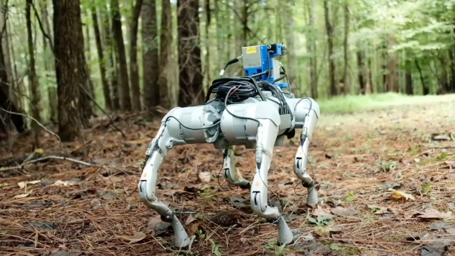 Duke's robot dog mimics human touch, sound to navigate forest terrain