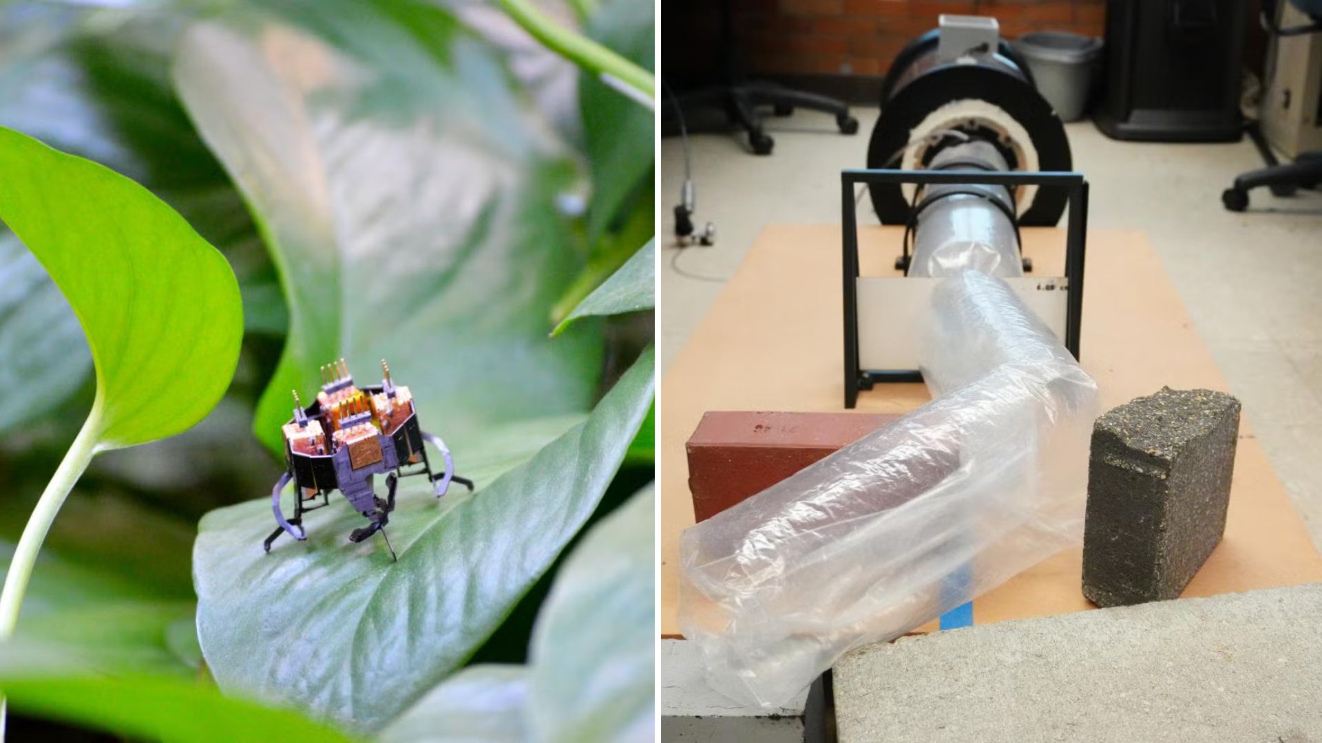 Snake and insect-inspired robots team up to do what humans can't