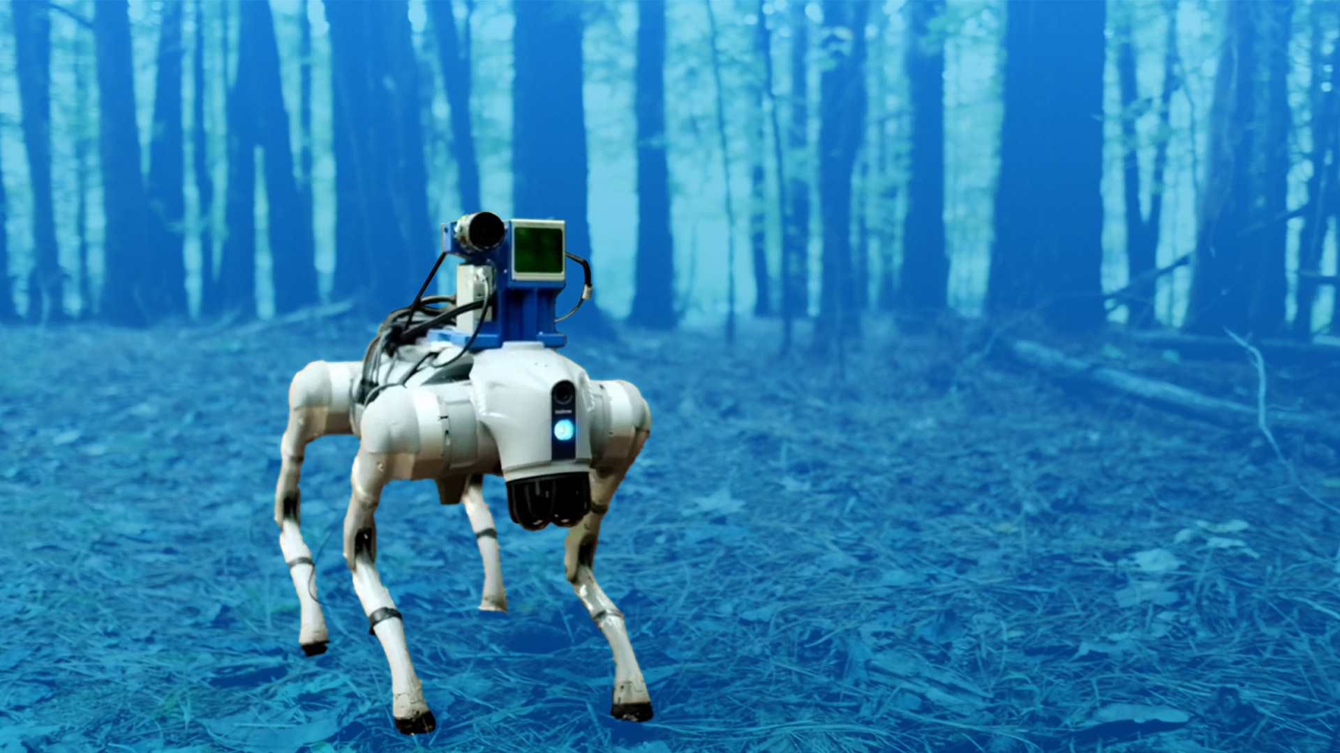 Robot Navigates With The 5 Senses