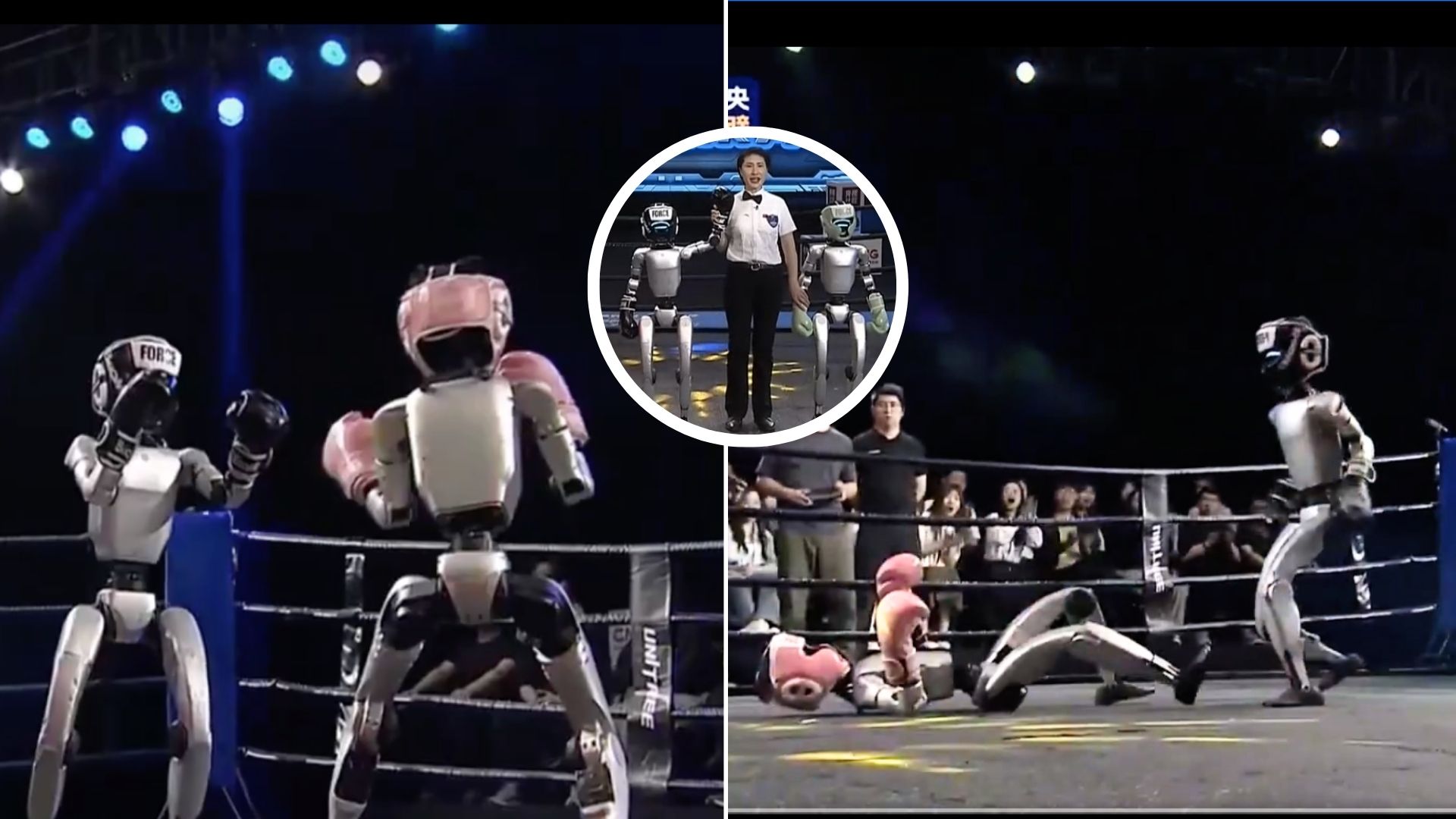 Robot boxing: China’s powerful humanoid wins with tough punches, knocks out rivals