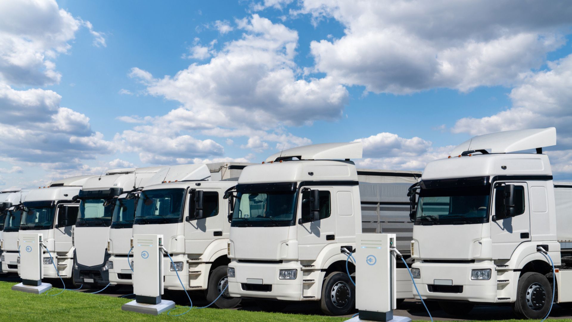 EV makers can cut rare earth use by 15% with new design tool: Study