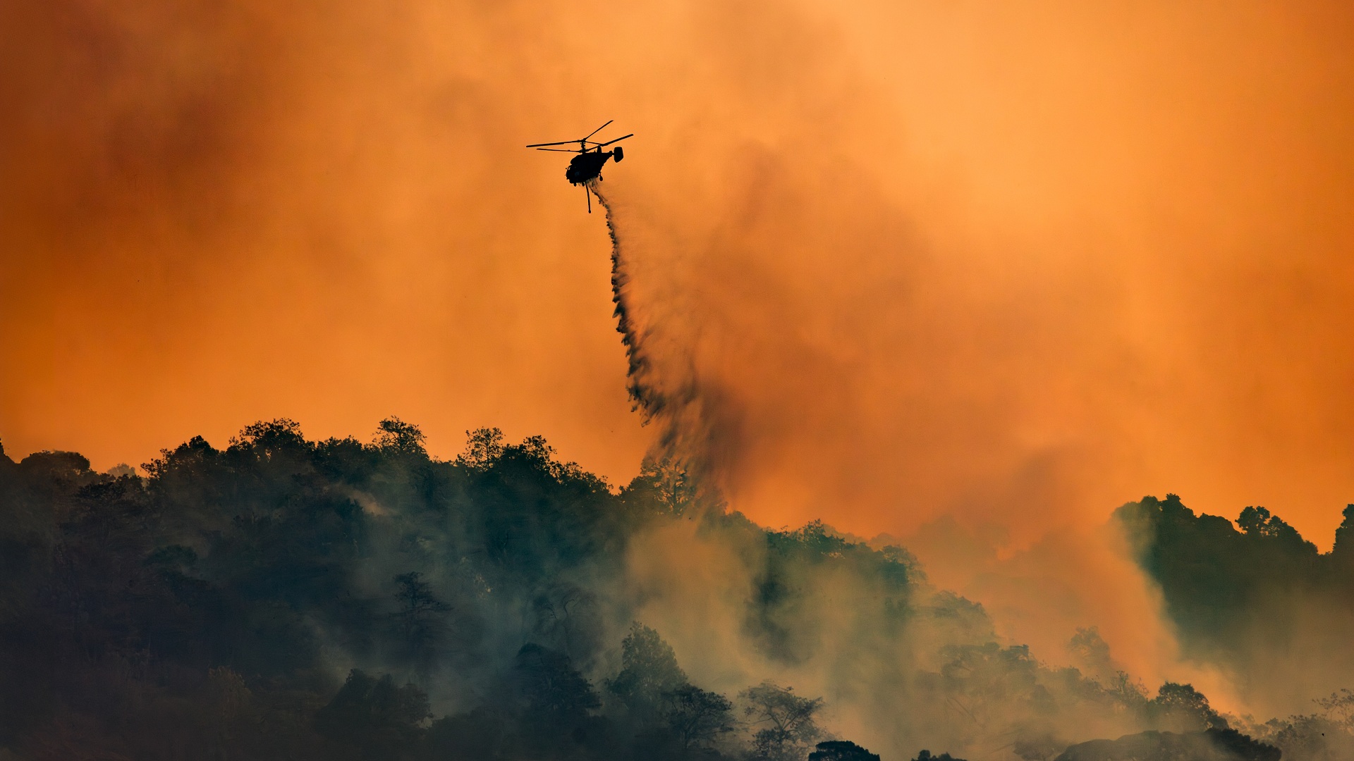 Wildfire smoke from climate change killed 15,000 Americans, caused $160 billion in losses: Study