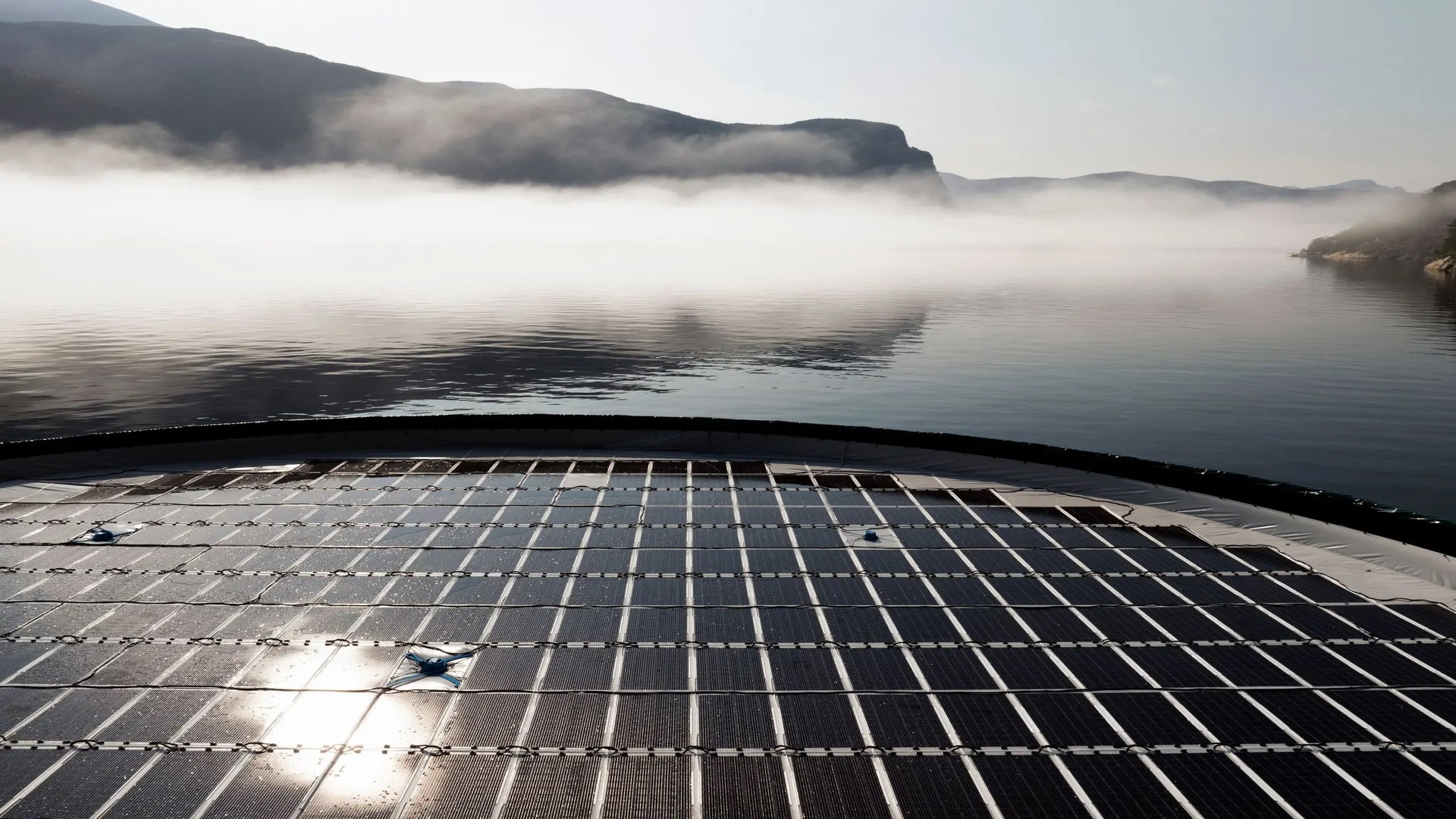 Norwegian fish farm doubles floating solar after first plant cuts diesel by 90%