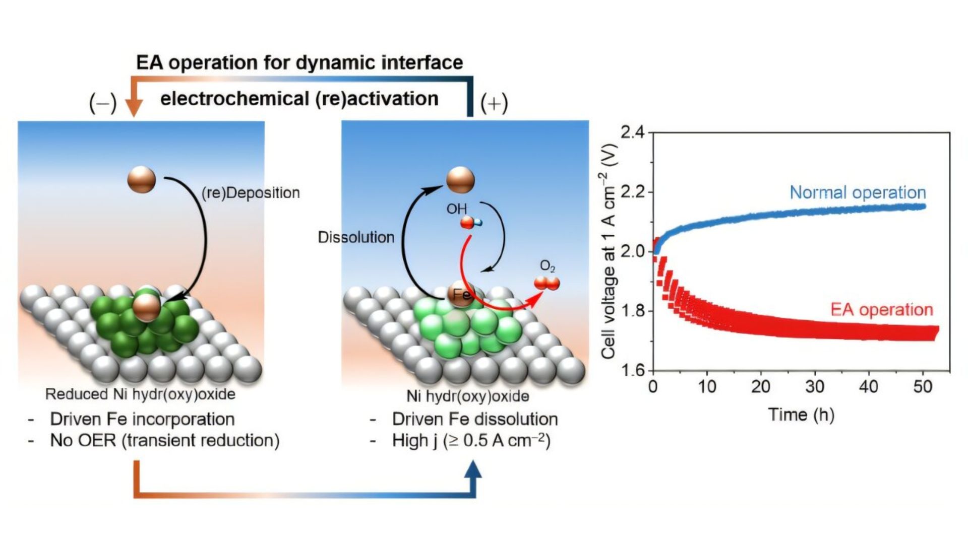 Dynamic polarization control for continuous activation and reactivation Ni-based electrode.
