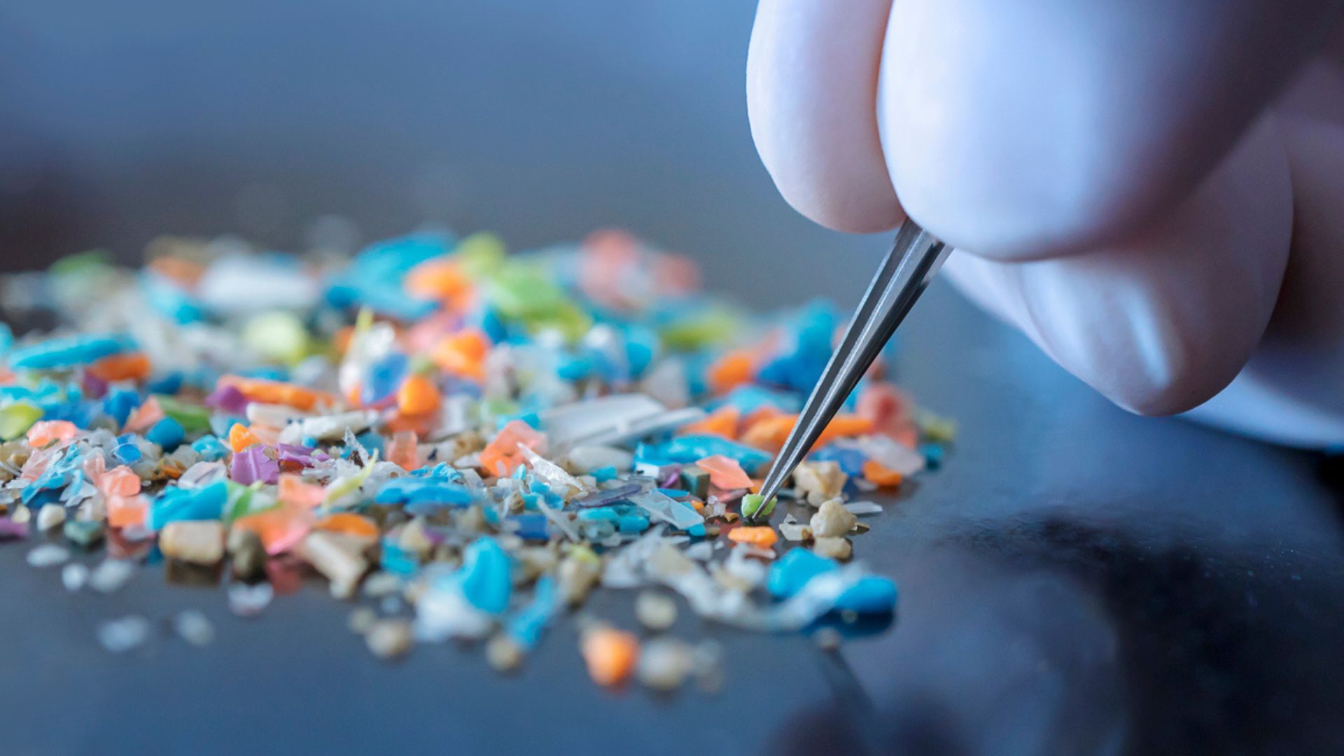 Biodegradable microplastics could pose diabetes threat, harm gut