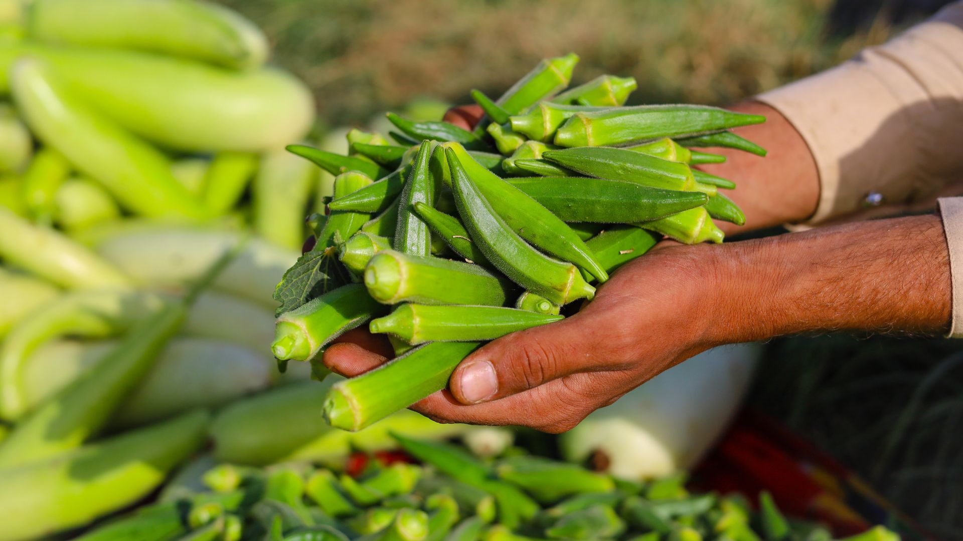 Okra and fenugreek extracts remove 90% of microplastics from water